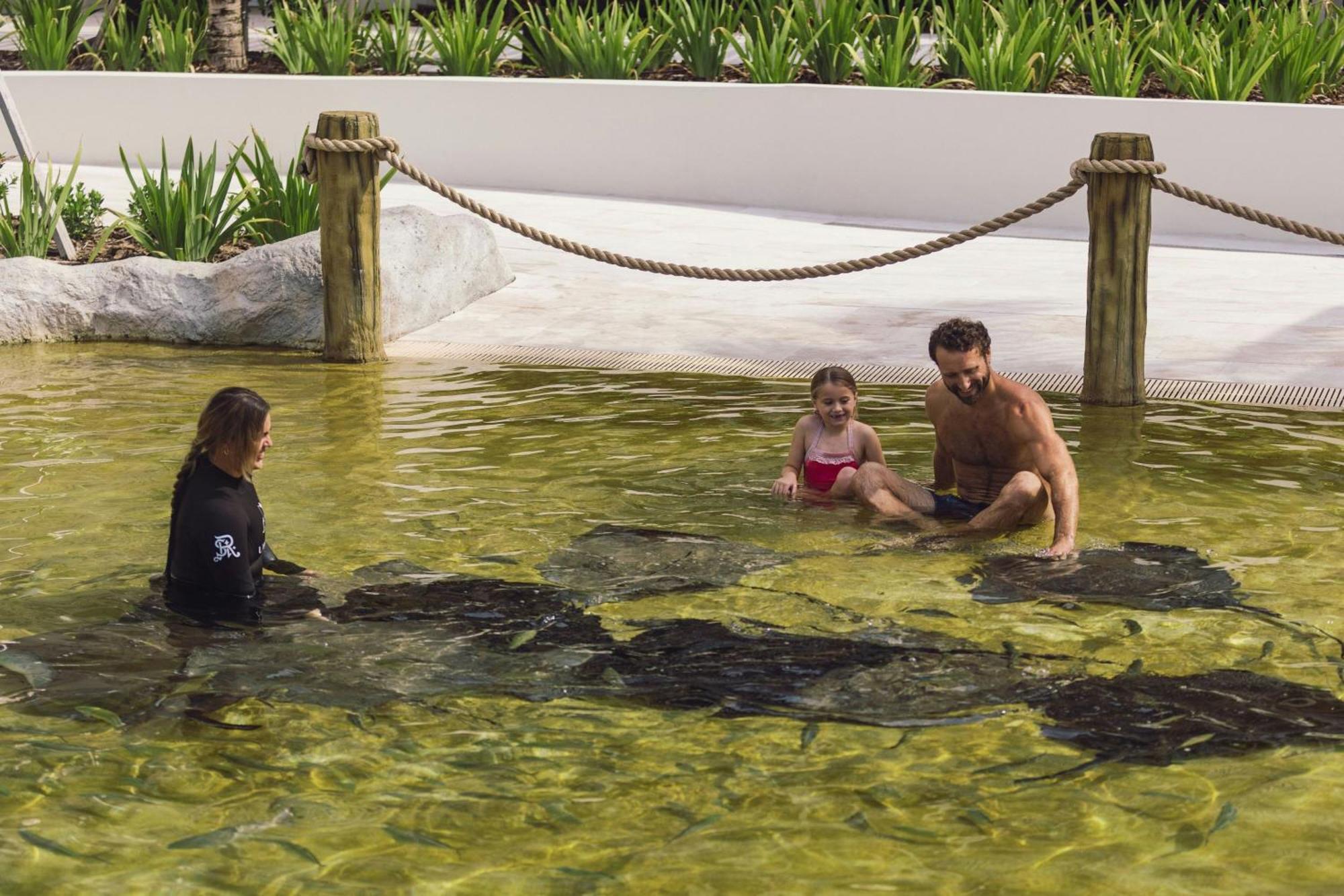 The St Regis Longboat Key Resort Dış mekan fotoğraf